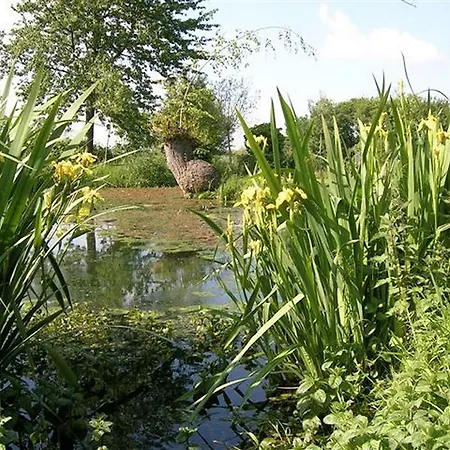Bed & Breakfast Hoeve Rott Vijlen